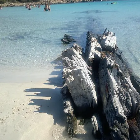 Da Carlo Affittacamere *